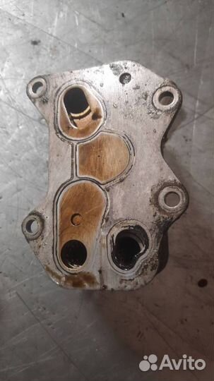 Радиатор масляный Volkswagen Passat B6 2006