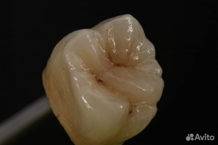 Зубной техник