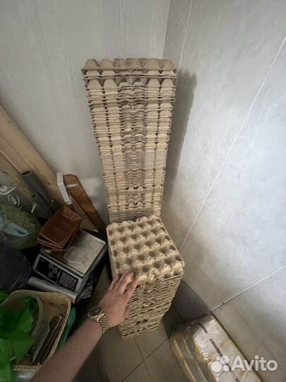 Лотки для яиц