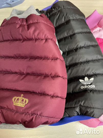 Одежда для собак