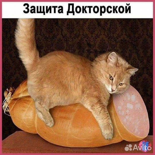 Дополнительные общеразвивающие программы по фкис