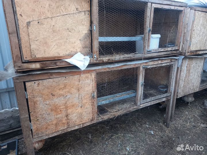 Клетки для кроликов бу