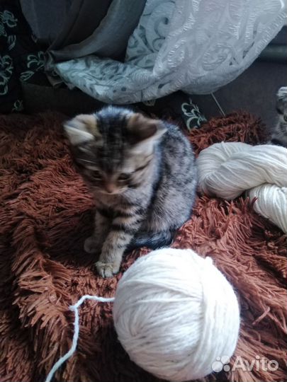 Пряжа для ручного вязания