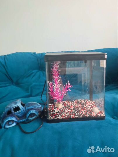 Аквариум Prime с фильтром, подсветкой