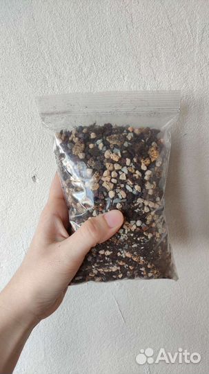 Грунт для суккулентов