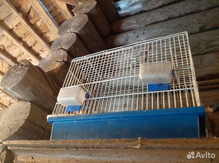 Клетка для грызунов птичек
