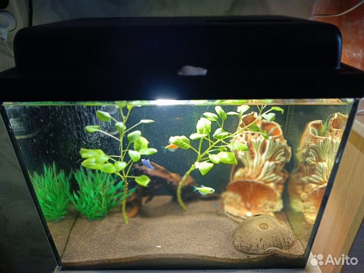 Аквариум