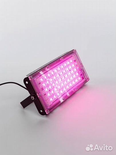 Фитолапа для растений 50 вт