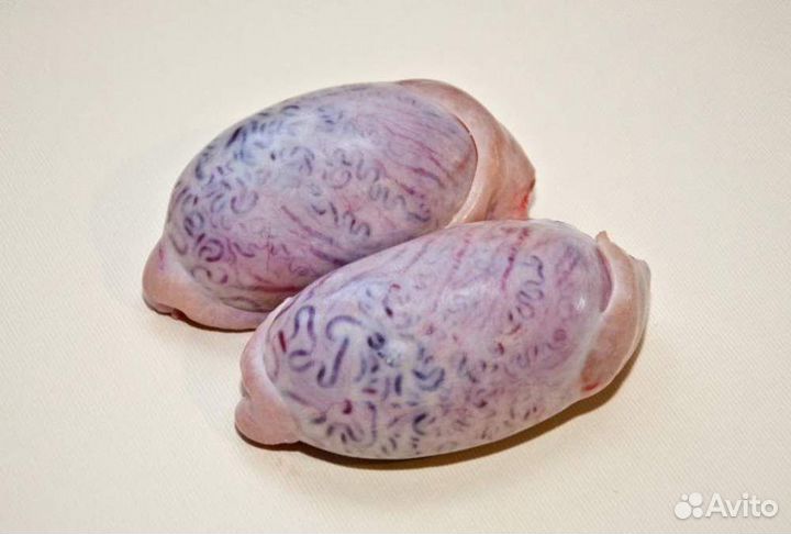 Мясо. Мясные субпродукты для собак