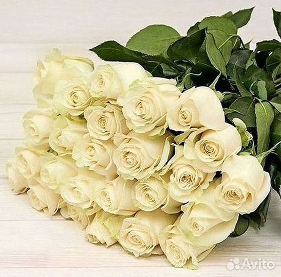 Розы высокие Доставка цветов