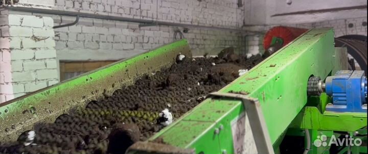 Грохот звездчатый с конвейером