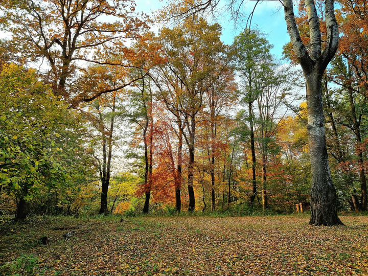 Участок 2,3 га (СНТ, ДНП)