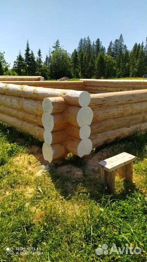 Рубим срубы из зимнего леса