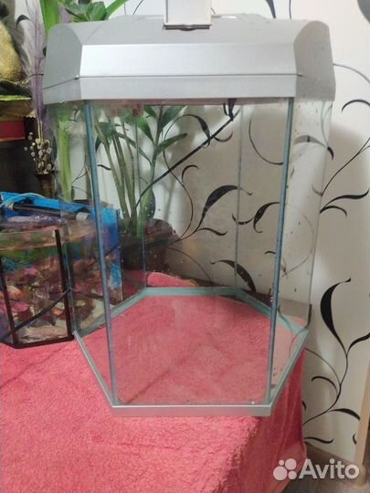 Аквариум