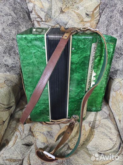 Баян Полесье