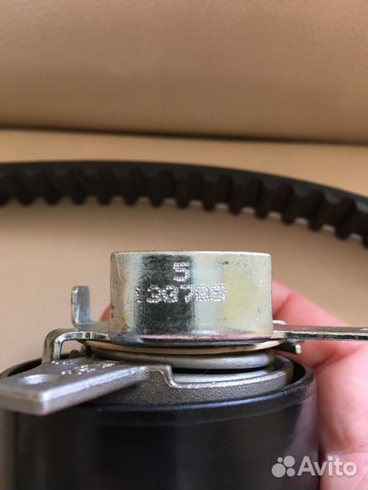 Ремень грм ford focus, fiesta 1.6