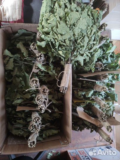 Дубовые веники для бани свежий сбор