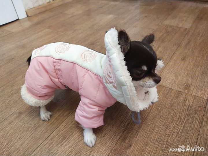 Зимний комбинезон для собаки, новый, S