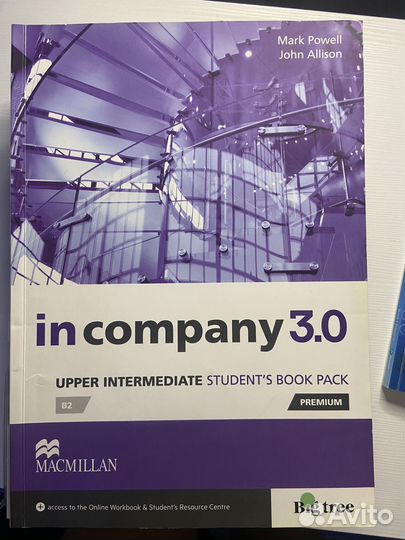 In company 3.0 macmillan