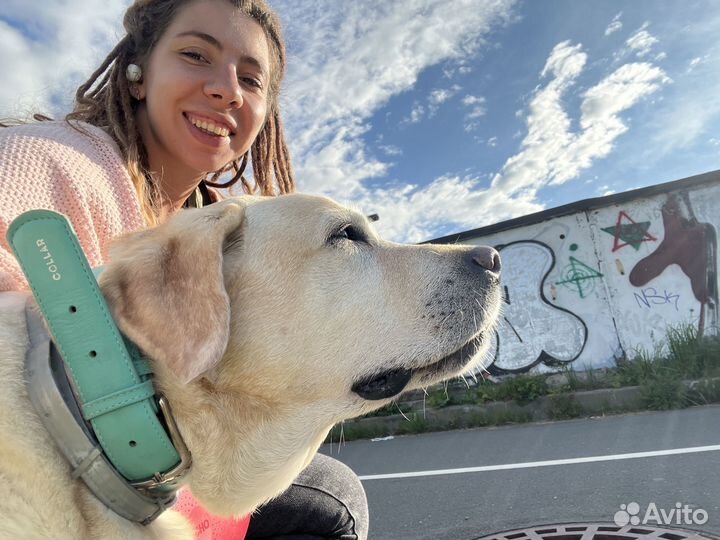 Передержка и выгул собак, няня для собак