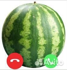 Выберу за вас арбуз