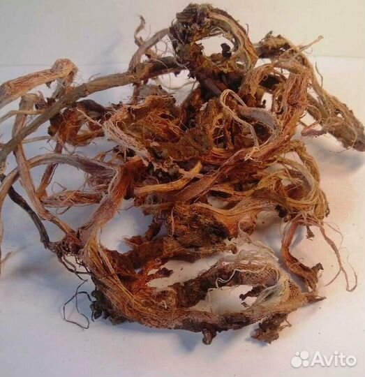 Красный корень для мужчин и женщин