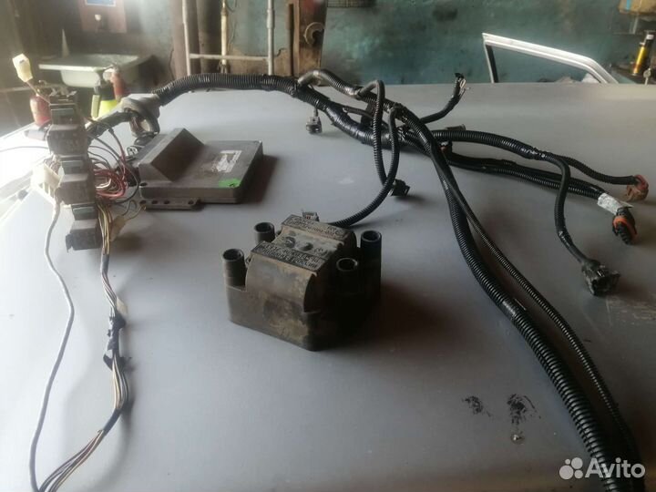 Коса и эбу январь 5.1.1