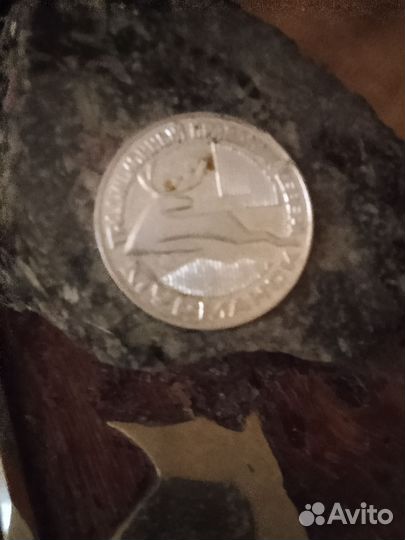 Сувенир память о севере