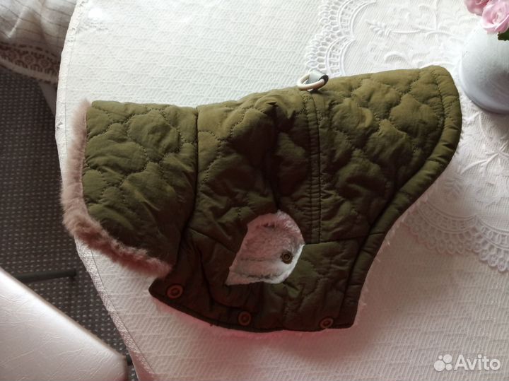 Одежда для животных