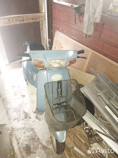 Yamaha mint