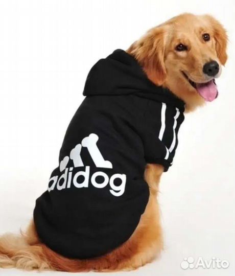 Худи для собачки