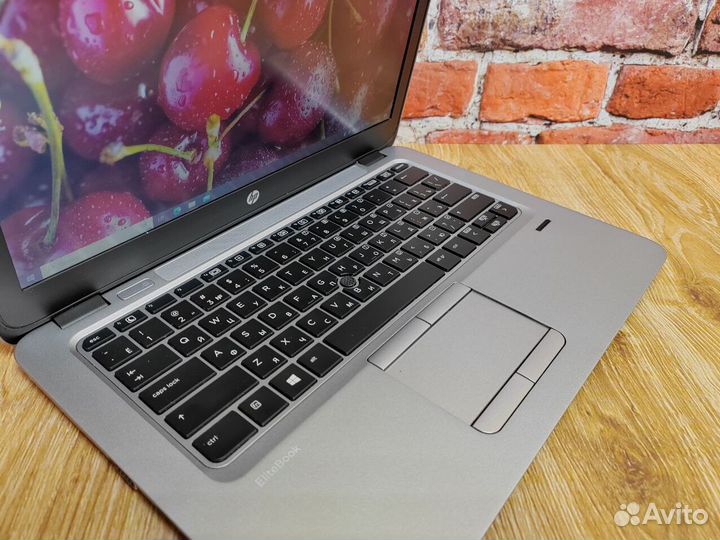 Ноутбук Игровой HP AMD PRO A8 12 дюймов 8gb