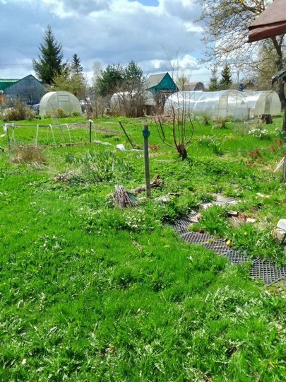 Дача 28 м² на участке 6 сот.