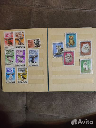 Почтовые марки в альбоме