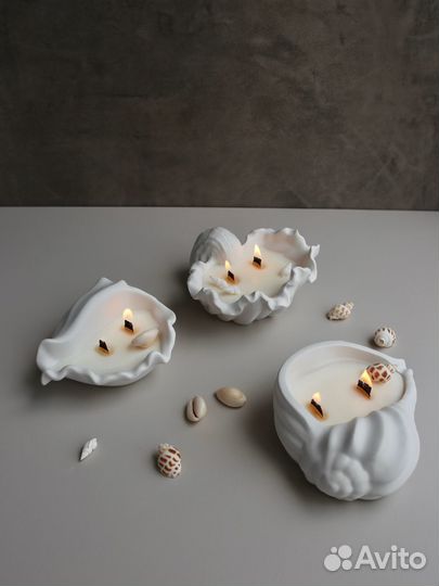 Молд для гипса ракушка