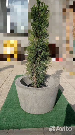 Уличный бетонный вазон