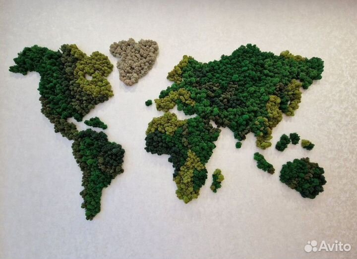 Стабилизированный мох в интерьере