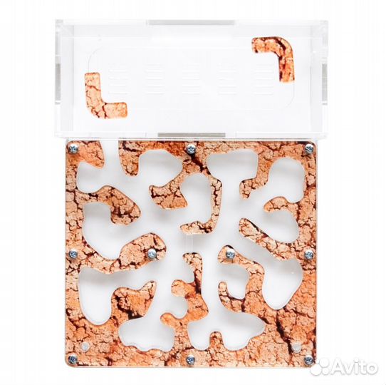 Муравьиная Ферма Мини Атакама 20х15х7