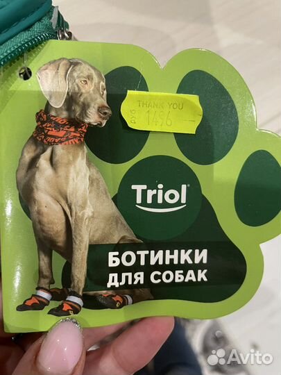 Сапоги для собак