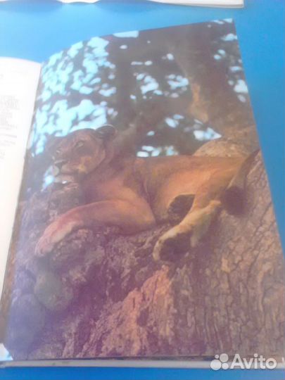 Йозеф Вагнер, Сафари под Килиманджаро, чсср