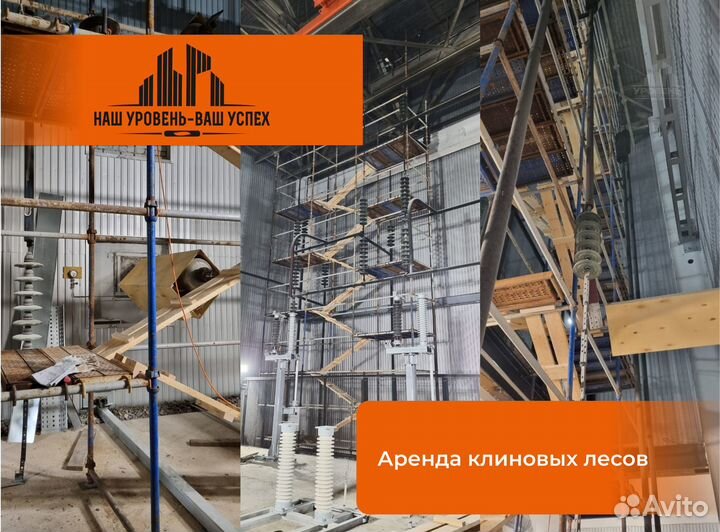 Аренда клиновых лесов