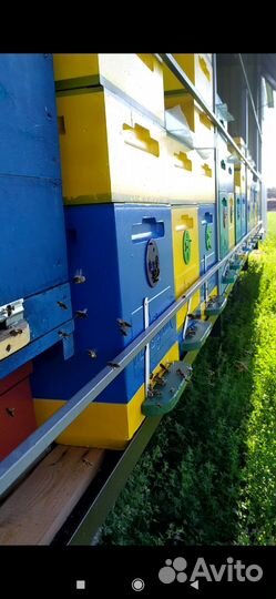 Пчелоприцеп