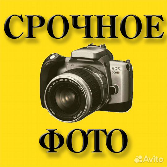 Фото на документы