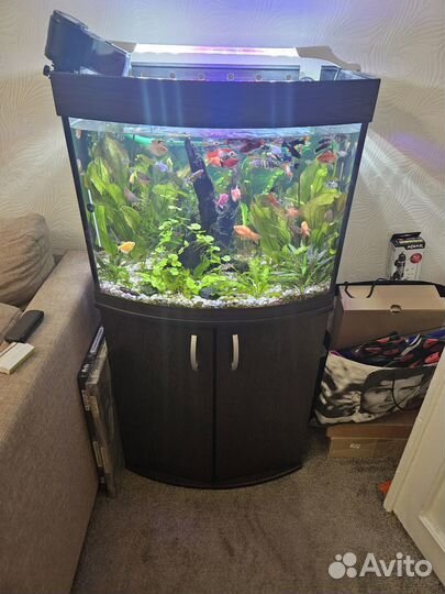 Аквариум 100 литров