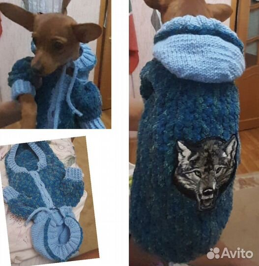 Одежда для собак
