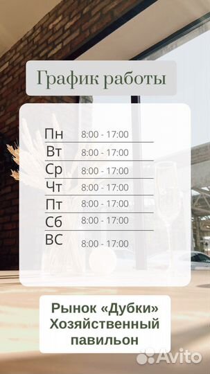 Весы