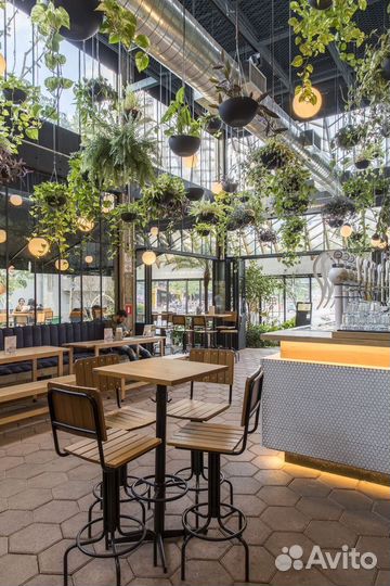 Картины из стабилизированного мха.Фитостена.Декор