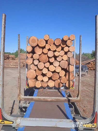 Лес кгруляк опт