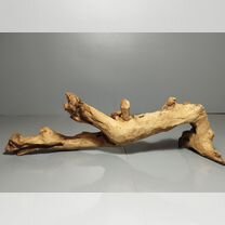 Коряга Bell Wood мангровая коряга 37*12*17 вк507, Зеленоград