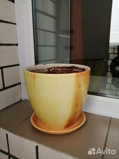 Горшки для цветов